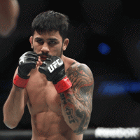 Alexandre Pantoja Net Worth:Facts about his earnings, career, fights, early life