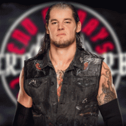 Baron Corbin's Net Worth