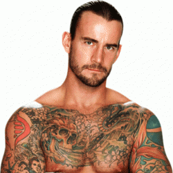 CM Punk's Net Worth