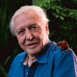 David Attenborough Net Worth