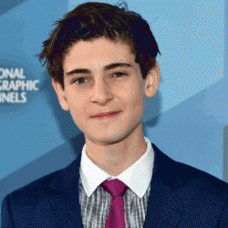 David Mazouz Net Worth- How did David Mazouz made the net worth of $700,000?