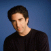 David Schwimmer Net Worth, Know About His Career, Early Life, Personal Life, Social Media Profile
