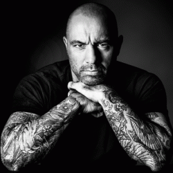 Joe Rogan Net Worth