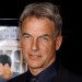 Mark Harmon Net Worth|Wiki: Know his earnings, movies, tvShows, family, wife, children, affairs