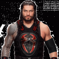 Roman Reigns Net Worth: Let's know his incomes, career, family, early life, fights