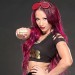 Sasha Banks Net Worth: Know her earnings, wrestling career, wwe, fights,instagram, age,real name