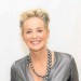 Sharon Stone Net Worth: explore about her incomes, assets, career, relationships 