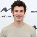 Shawn Mendes Net Worth: Know about canadian musician and his songs,tours,albums, girlfriend 