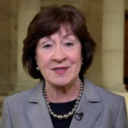 Susan Collins Net Worth