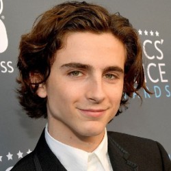 Timothee Chalamet Net Worth-How did Chalamet make his net worth to $1 million?