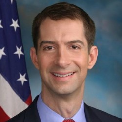 Tom Cotton's Net Worth