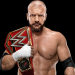 Triple H Net worth: Know his earnings,salary,career, movies, wrestling,wife